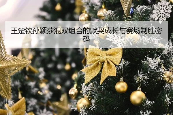 王楚钦孙颖莎混双组合的默契成长与赛场制胜密码