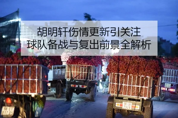 胡明轩伤情更新引关注 球队备战与复出前景全解析