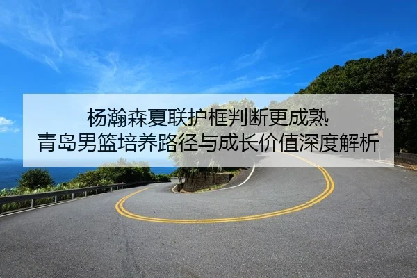 杨瀚森夏联护框判断更成熟 青岛男篮培养路径与成长价值深度解析